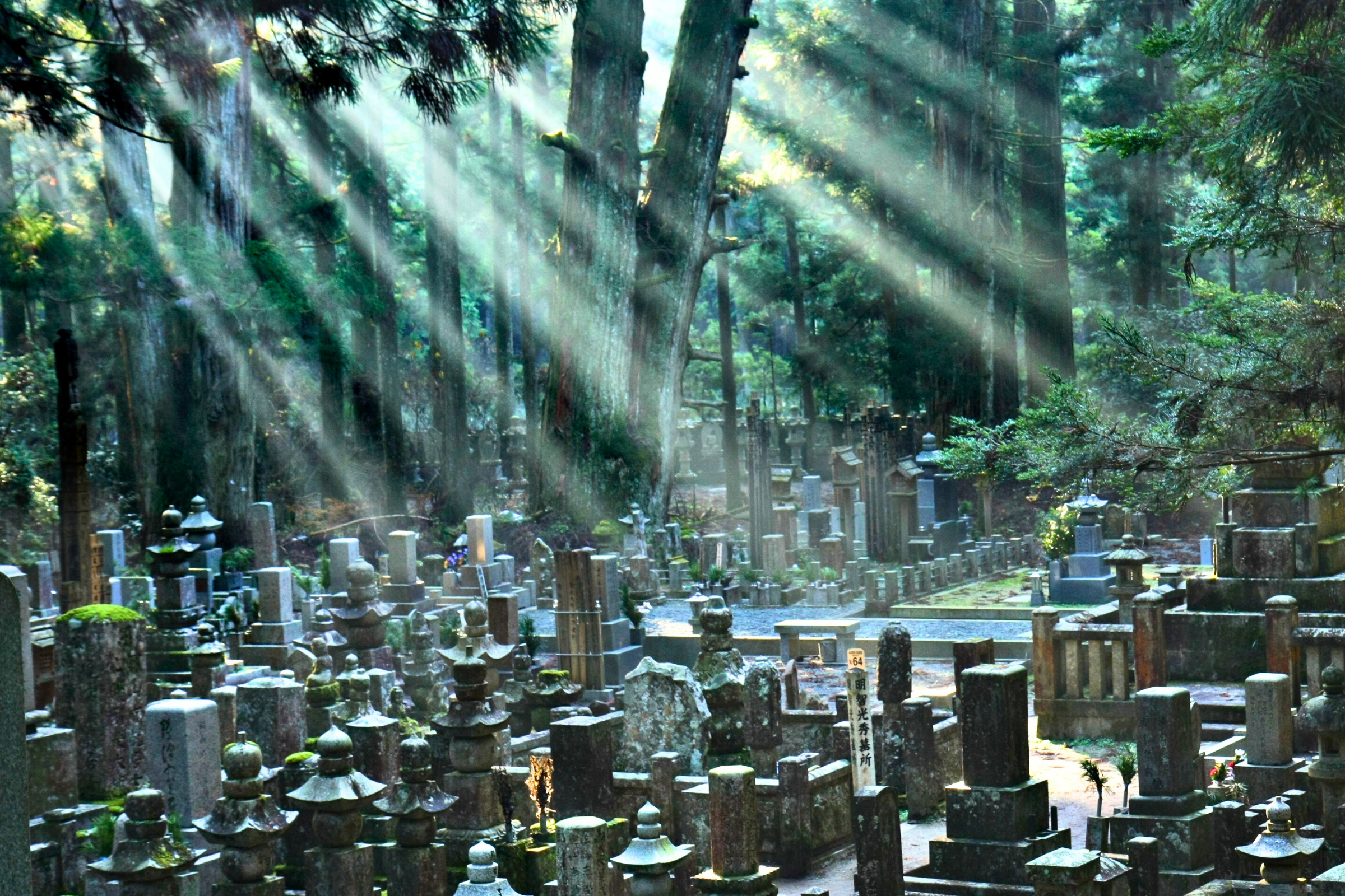 mount kōya.webp